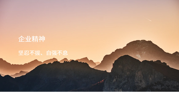 企业精神 企业精神